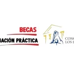 Becas Congreso