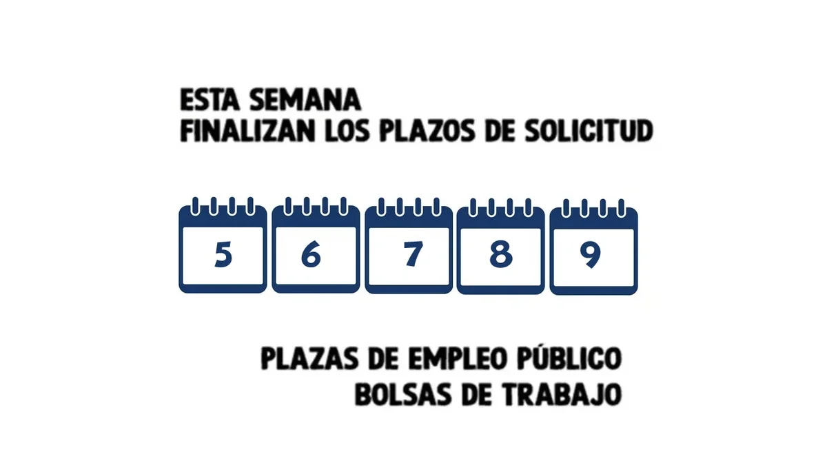 empleo público